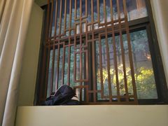 -臻本足道(武林壹号店)