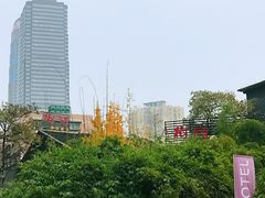 -树厨贵州菜(大十字店)