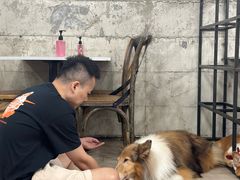 -Dog in Town Ekkamai