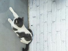 -颐玖 咖啡|甜品