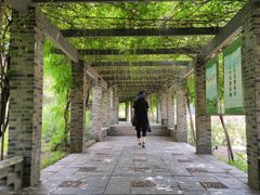 -龙寺生态园