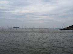 -北岐滩涂