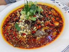 精品毛血旺-津悦·正阳春烤鸭(红旗南路店)