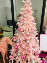 -Lab Season惜辰颜究社