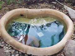 -三亚珠江南田温泉度假区