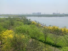 -天津东丽湖风景区