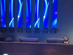 -唛歌KTV(城西银泰店)