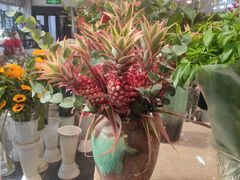 -双季花艺园艺市场(浦东店)