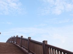 -五缘湾湿地公园