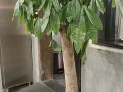 -新李记 · 口味菜馆(南郊公园店)