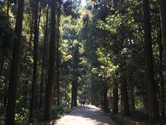 -雁荡山风景名胜区-小龙湫