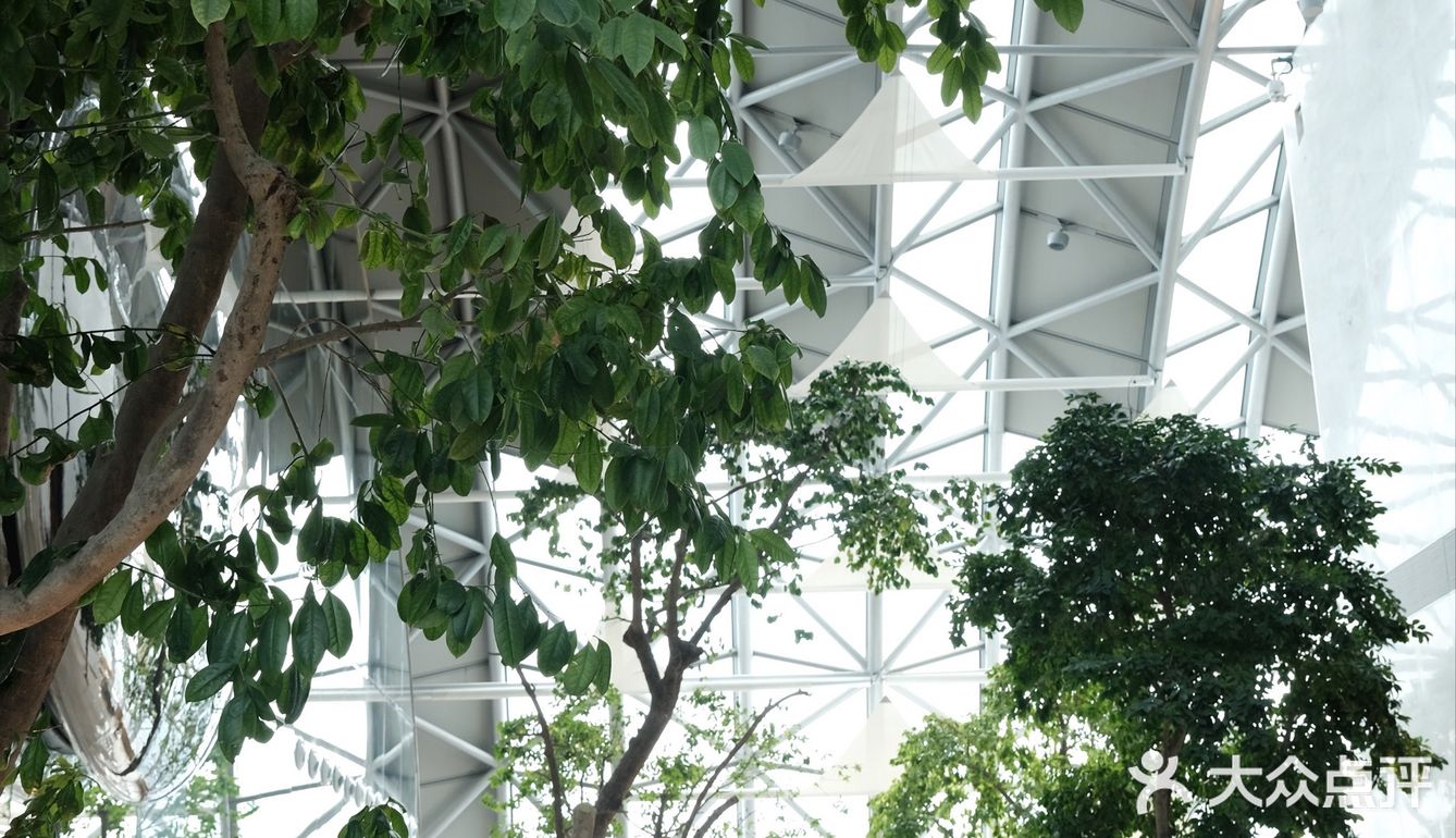 尽显建筑之美｜Intercontinental 重庆洲际