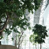 尽显建筑之美｜Intercontinental 重庆洲际