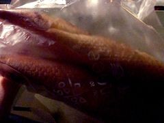 -仟吉KenGee(汪家墩店)