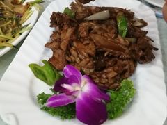 -宝发园名菜馆
