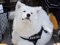 -银沙滩浴场