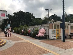 -九龙公园