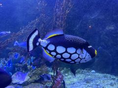 -太平洋海底世界