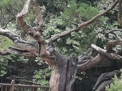 -草庵摩尼教遗址公园