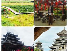 -程阳八寨景区