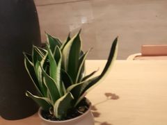 -蓬客精品酒店(南山海岸城购物中心店)