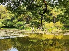 -杭州植物园