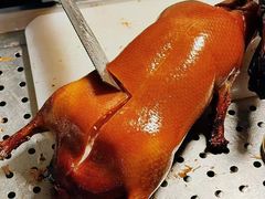 -玖五京菜(杭州城北万象城店)