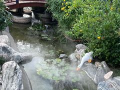 -蘇河湾·新鲁菜·泰山宴(泰山店)