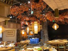 -老凯俚酸汤鱼(多彩城店)