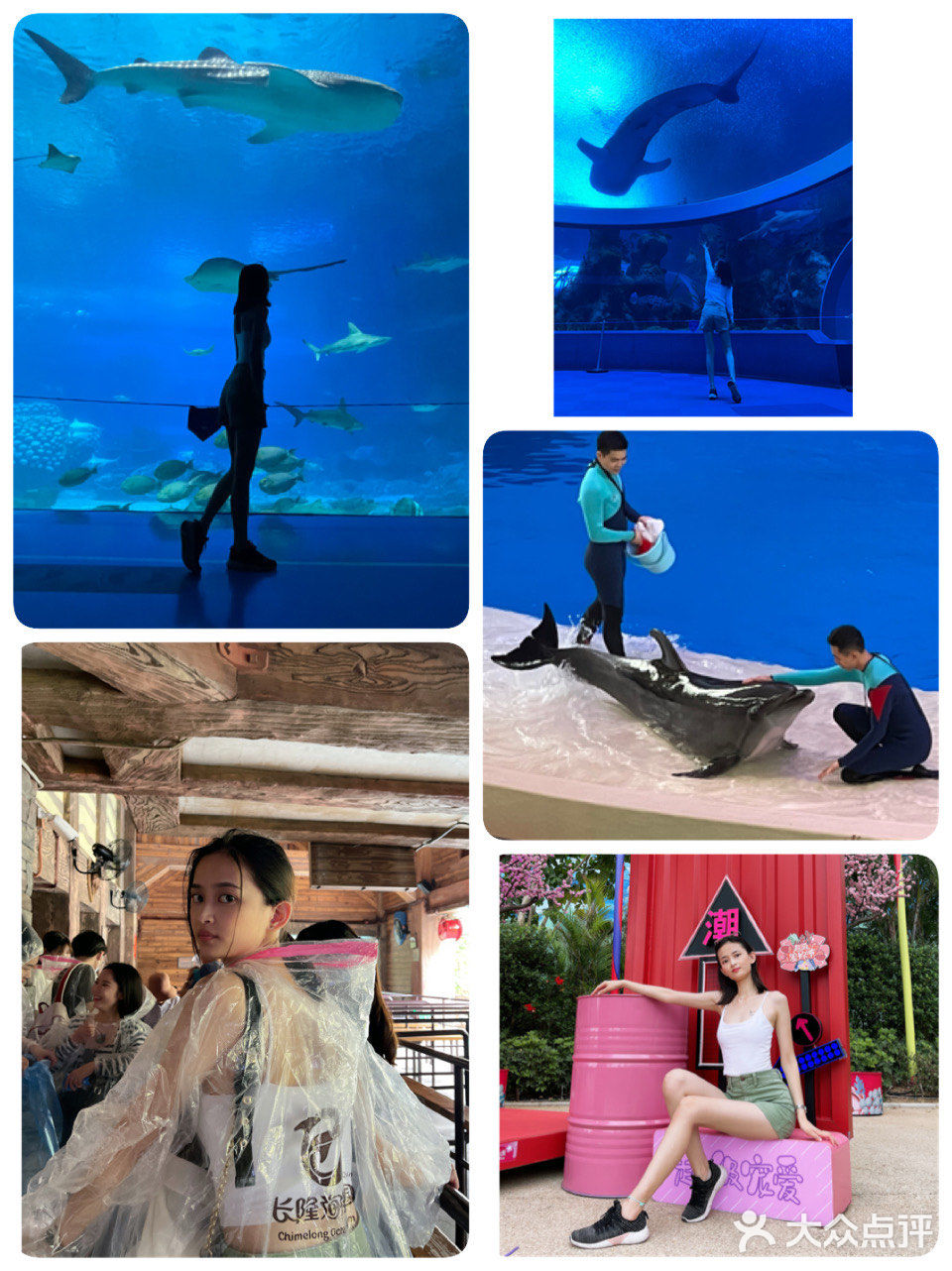 海洋公园两天一晚小攻略