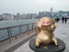-星光大道