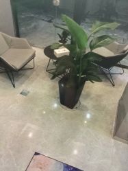 -B-BEAUTY童颜皮肤管理中心