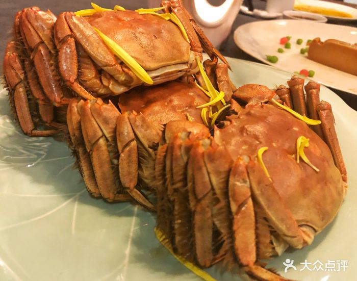 成隆行精选大闸蟹