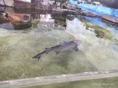 -鸿通城购物中心