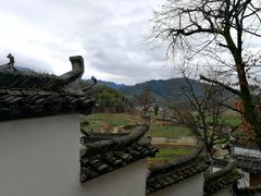 -塔川景区