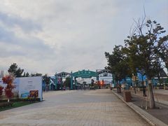 -荷兰花海