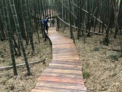 -南京市无想山景区