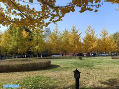 -辽东学院(南校区)