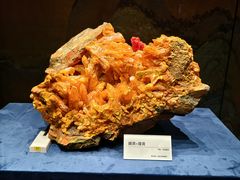 -国家自然博物馆