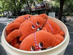 -黄记大闸蟹专卖店·活蟹·醉蟹