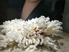 -北海金海湾红树林生态旅游区