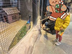 -酷嗒动物文化乐园(cutezoo西溪乐天城店)