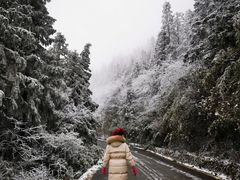 -武陵山森林公园