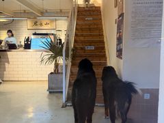 -小意思咖啡店(草桥店)