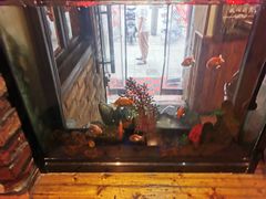 -黑土地东北私房菜馆(南门大街店)
