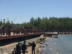 -丁香湖公园