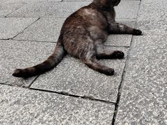 -绮园景区