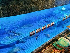 -协成海鲜火锅(情侣路店)