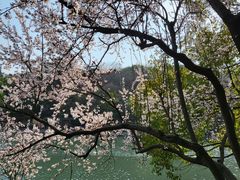 -南京珍珠泉风景区