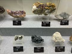 -甘肃地质博物馆